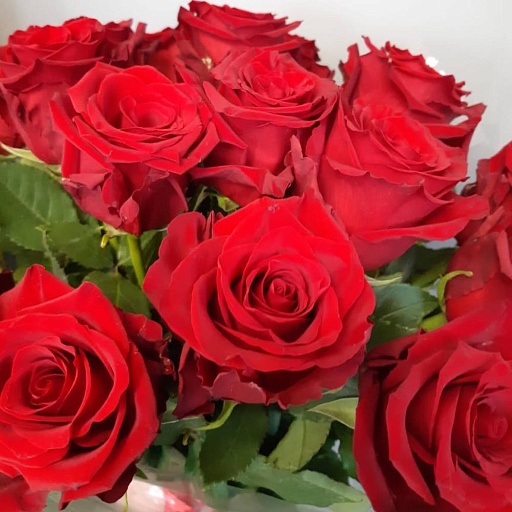 Букет из 19 красных роз "Эксплорер". Фото №5