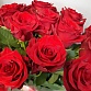 Букет из 19 красных роз "Эксплорер". Фото №5