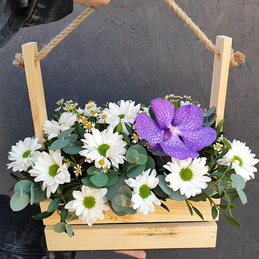 Композиция из кустовой хризантемы, матрекарии, орхидеи Ванда и эвкалипта в деревянном ящике "Махаон". Фото №2