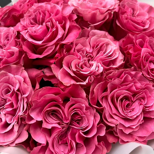 Букет из 11 розовых пионовидных роз Кантри Блюз. Фото №4