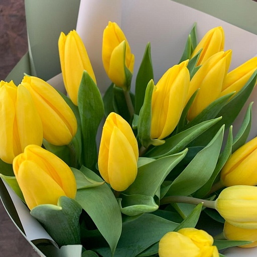 Букет из 15 желтых тюльпанов "Весеннее солнце". Фото №5