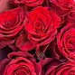 Букет из 9 роз "Ред Пантер". Фото №6