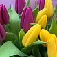 Букет из 15 фиолетовых и желтых тюльпанов "Яркий лучик". Фото №7