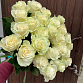 Букет из 25 белых роз "Мондиаль". Фото №1