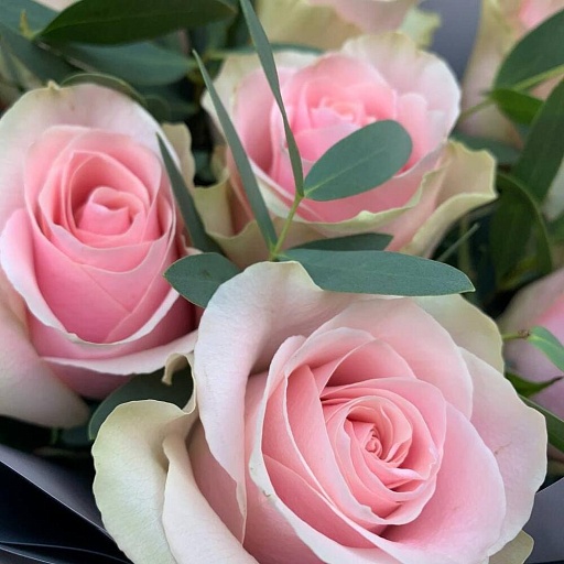 Букет из 9 розовых роз и эвкалипта "Таллер". Фото №3