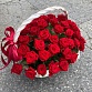 Корзина из 51 красной розы и зелени "Эксплорер". Фото №4