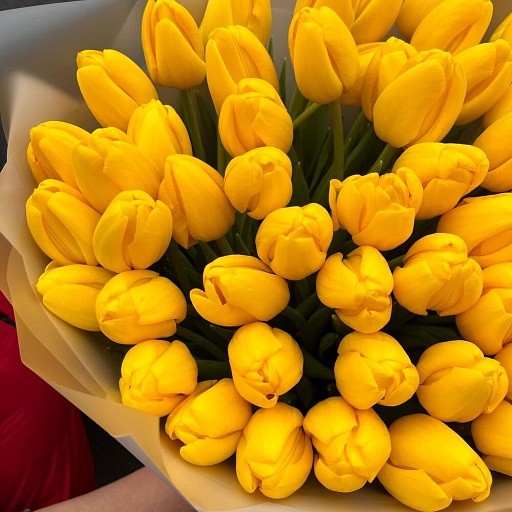 Букет из 51 желтого тюльпана "Солнцестояние". Фото №5