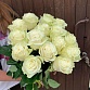 Букет из 15 белых роз "Мондиаль". Фото №6